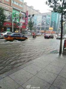 通化爆料最新信息网,最新信息网揭示城市动态与民生热点 第2张 通化爆料最新信息网,最新信息网揭示城市动态与民生热点 第2张