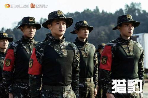 猎豹突击队电视剧全集在线观看 第1张 猎豹突击队电视剧全集在线观看 第1张